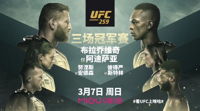 ufc直播，ufc直播无插件