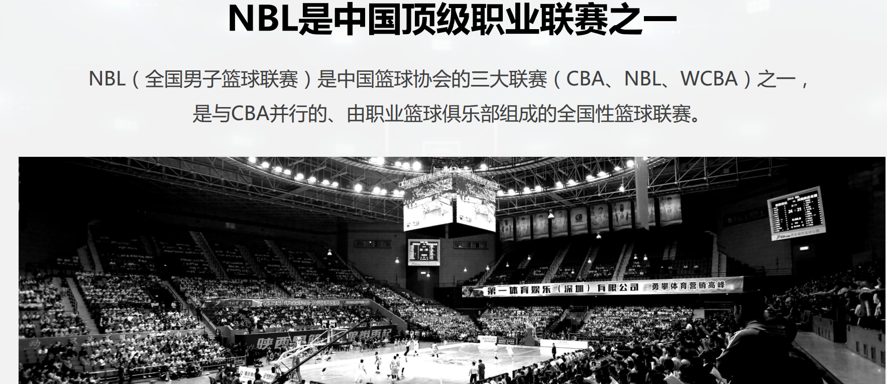 nbl联赛赛程，nbl联赛官方网站